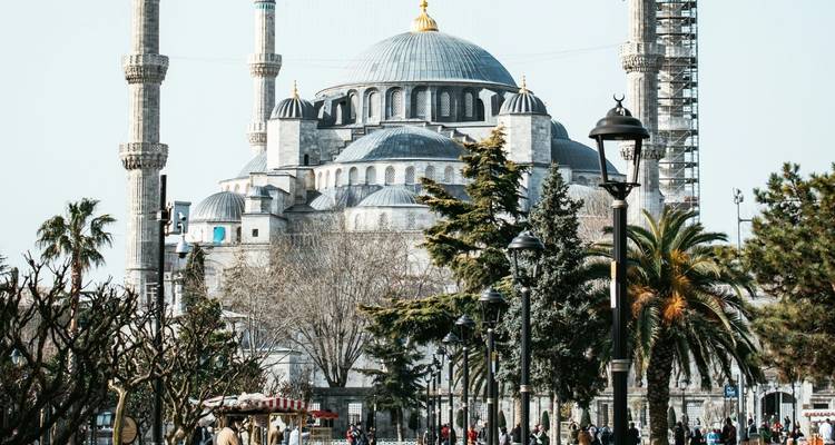 Bustling square lined with palm trees in front of the iconic Blue Mosque with its domes and minarets towering overhead.