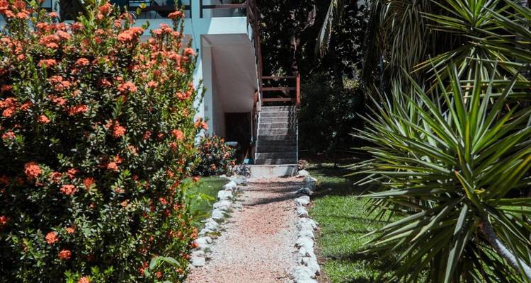 Camino del jardín bordeado de flores de ixora naranja en flor y follaje tropical que conduce a las escaleras del alojamiento.