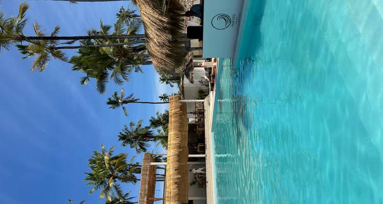 Piscina infinita color turquesa que invita a sumergirse, rodeada de palmeras y una barra de piscina con techo de paja