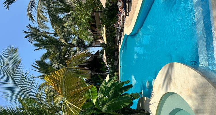 Piscina de resort aislado rodeada de exuberante vegetación tropical y tumbonas