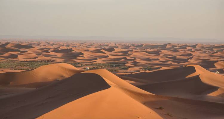 Sweeping panorama of sun-lit dunes stretching to the horizon in the Moroccan Sahara.