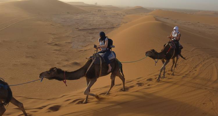 Camel caravan with riders traverses sandy ridges, guide leading at dawn.