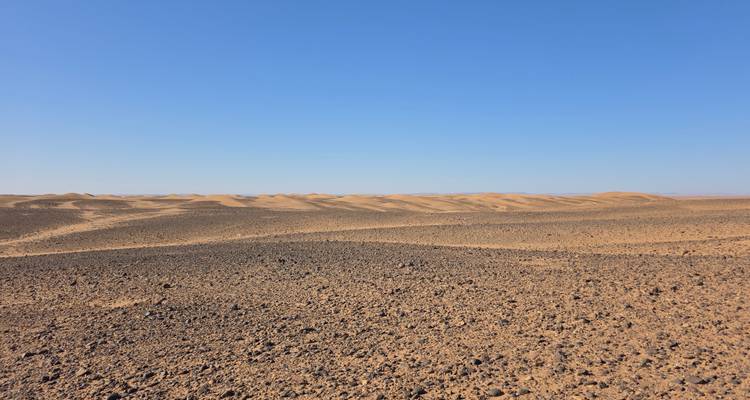 Expansive view of a rocky hamada desert with undulating low ridges under a clear blue sky.