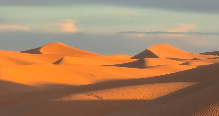 Golden sunset light bathes smooth, wind-carved desert dunes in warm hues.