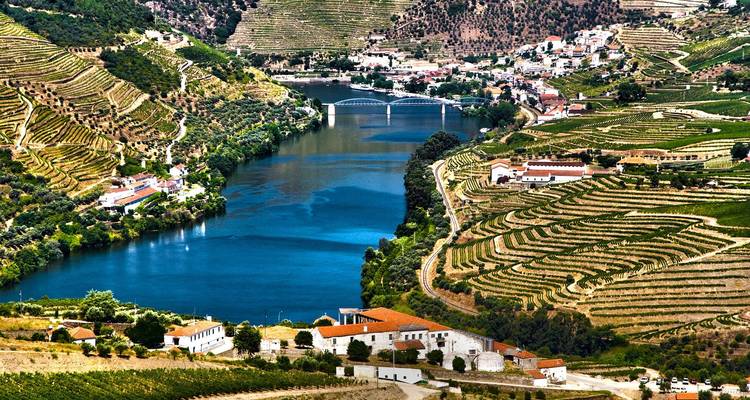 Viñedos en terrazas que bajan en cascada hacia un río azul sinuoso con un puente y un pueblo a la distancia.