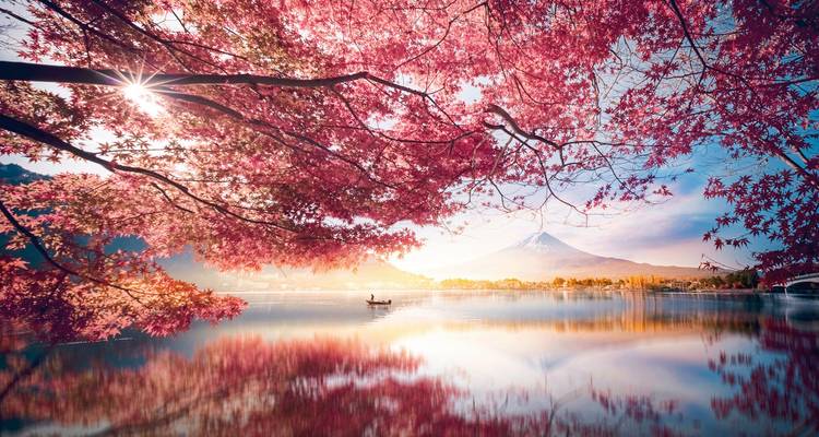 Kirschblüten rahmen einen ruhigen See mit einem einsamen Bootsführer und dem Mount Fuji, der im Licht der aufgehenden Sonne badet.
