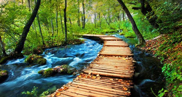 Wooden boardwalk winds through rushing stream and vibrant autumn forest in Krka National Park.