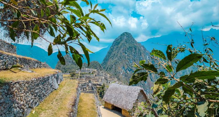 Bladrijke takken omlijsten de ruïnes van Machu Picchu met de iconische puntige berg die erachter uitstijgt.