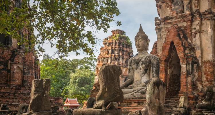 Ruhiger steinerner Buddha, sitzend zwischen Ziegelruinen und Baumschatten in Ayutthaya