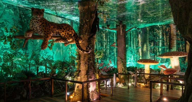 Exhibición de selva tropical cubierta con un modelo de leopardo muy realista en una rama y hongos gigantes bajo iluminación verde.