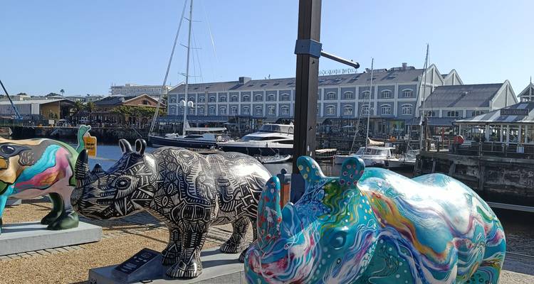 Brightly painted rhino sculptures stand along the waterfront with yachts, historic warehouses, and clear blue skies in Cape Town’s V&A Waterfront.