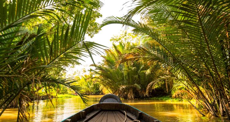 Aussicht von einem Holzboot, das durch die dichten Nipa-Palmen-Wasserstraßen des Mekong-Deltas gleitet