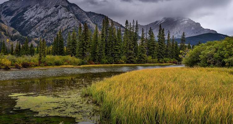 Lac serein bordé de hautes herbes et de forêt de conifères avec des montagnes grises spectaculaires s'élevant sous des ciels nuageux.