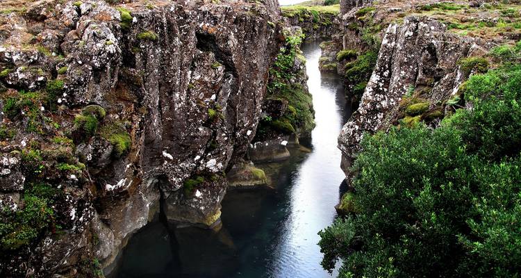 Étroit canal d'eau traversant des formations rocheuses volcaniques couvertes de mousse, entourées de verdure.