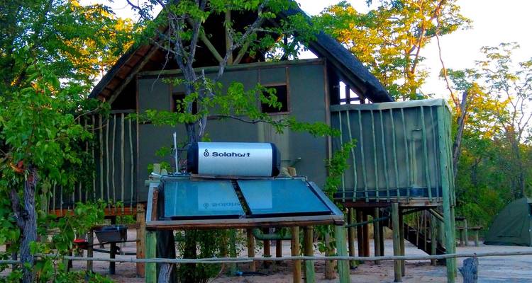 Cabaña tipo safari elevada con techo de paja y calentador de agua solar rodeada de bosque verde.