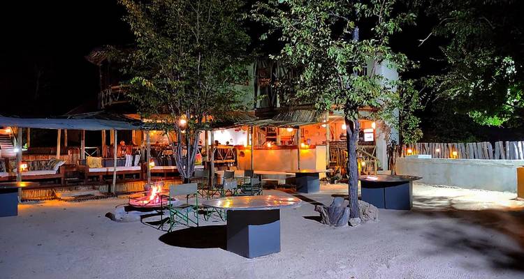 Acogedora terraza al aire libre de la posada por la noche con una fogata brillante, mesas de comedor y dosel de árboles arriba.