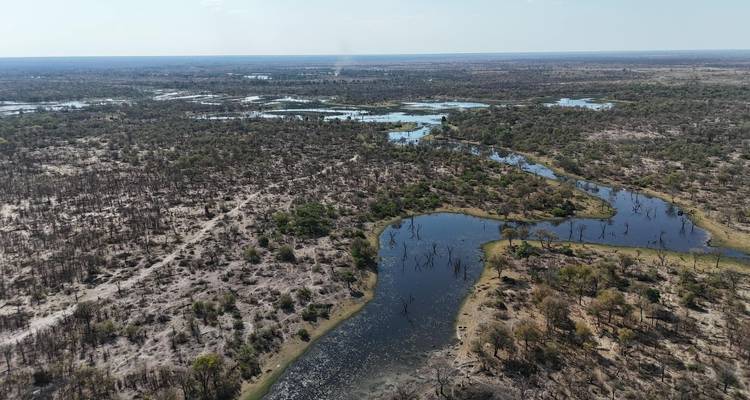 Vista aérea elevada de un humedal fragmentado y una sabana seca extendiéndose hacia el horizonte bajo cielos brumosos.