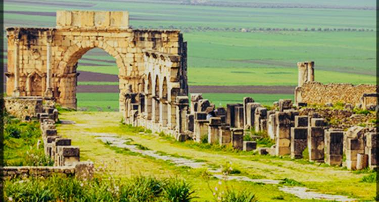 Ancient Roman stone arch and columned street of Volubilis amid green fields.
