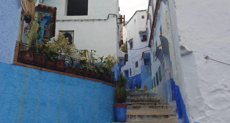 Narrow stepped alleyway painted in vivid blues and whites in Chefchaouen’s medina.
