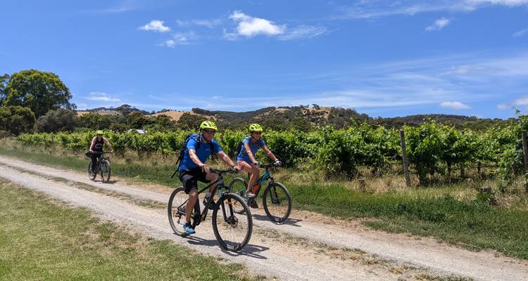 Radfahrer fahren auf einer Feldwegstrecke entlang, die von üppigen Weinbergen unter einem strahlend blauen Himmel begrenzt wird.