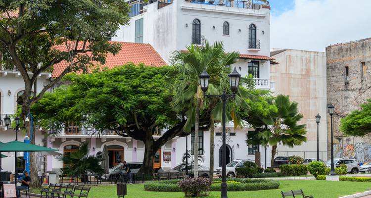 Los encantadores edificios coloniales y los árboles frondosos enmarcan una pequeña plaza en Casco Viejo, Panamá.