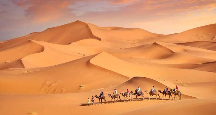 Ligne de touristes faisant une promenade à dos de chameau à travers les dunes de sable doré au lever du soleil dans le Sahara