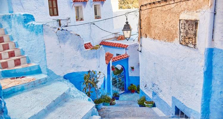 Ruelle calme bleu pastel avec escaliers et plantes en pots à Chefchaouen