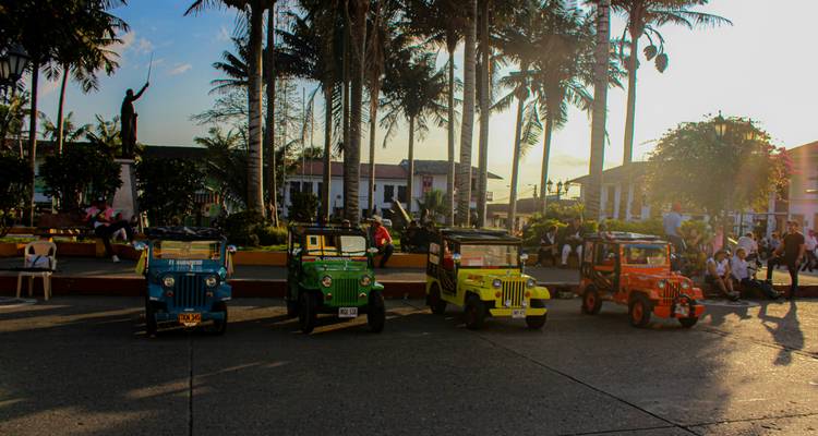 Des Jeeps vintage colorées alignées dans une ensoleillée place du centre-ville avec des palmiers et des habitants qui se détendent à proximité.