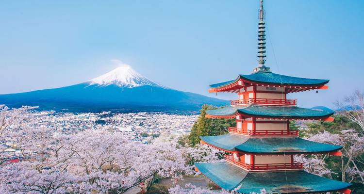 La Pagoda Chureito enmarcada por flores de cerezo con el majestuoso Monte Fuji cubierto de nieve elevándose al fondo.