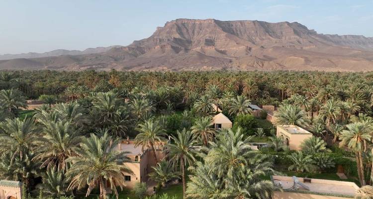 Lush palm oasis with scattered adobe buildings set below a rugged mountain ridge in southern Morocco.