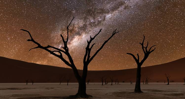 La Vía Láctea nocturna arqueándose sobre árboles silueteados y dunas de arena en el desierto de Namibia.