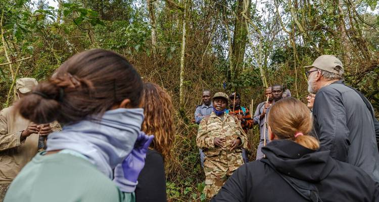 A ranger briefs trekkers within thick forest vegetation before a gorilla tracking excursion.