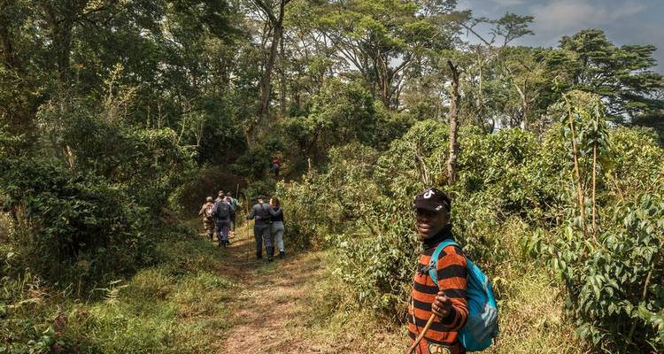 A smiling guide leads a small group along a forest trail under dappled sunlight.