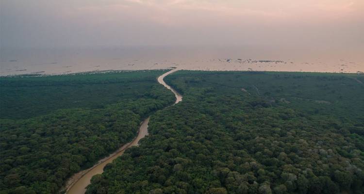 Luchtfoto van een bochtige rivier die door dicht groen mangrovebos slingert naar een vage kustlijn in het schemerlicht