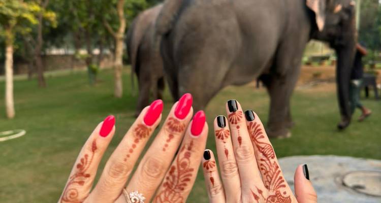 Hands decorated with henna and bright nail polish held up with an elephant grazing in the background