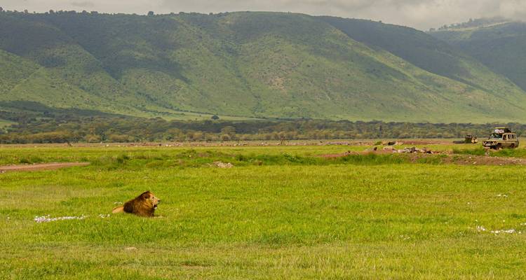 A lone male lion rests in a wide green grassland with a dramatic crater rim of lush hills rising in the background under cloudy skies.