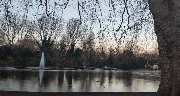 Quiet pond with central fountain and bare winter trees at dusk.