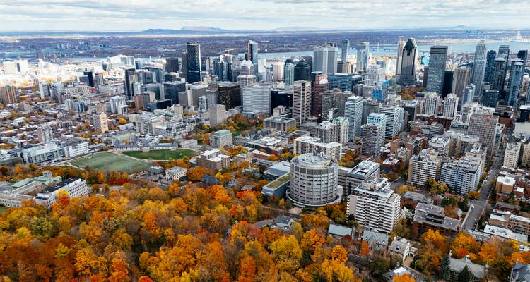 Vue aérienne automnale de la ligne d'horizon de Montréal s'élevant au-delà des versants forestiers colorés du Mont-Royal.