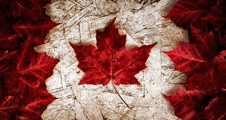 Image texturée artistique d'une feuille d'érable rouge formant le motif du drapeau canadien.