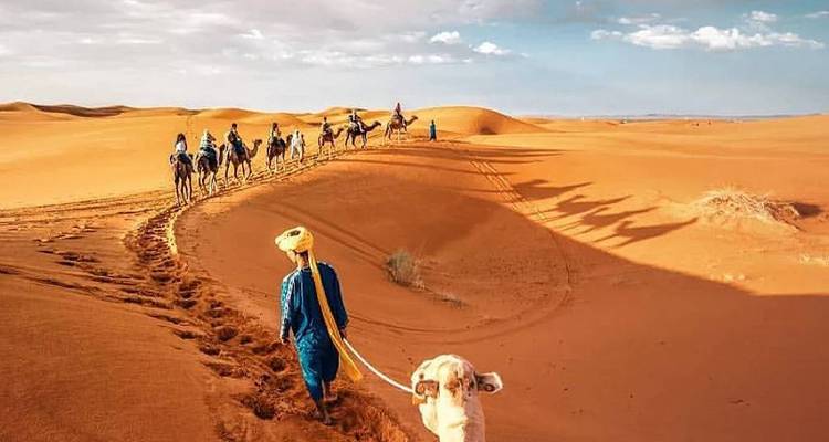 A single-file camel caravan stretches across vast orange dunes under a bright sky, led by a blue-turbaned guide.