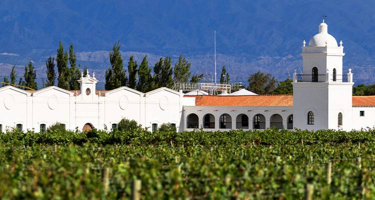 White colonial estate framed by vineyards with the Andes mountains in the distance.