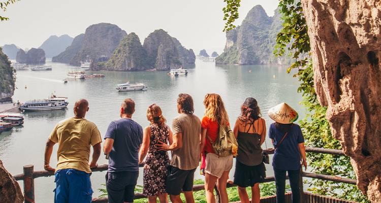 Travelers admire the emerald karst islands of Halong Bay from a shaded viewpoint.