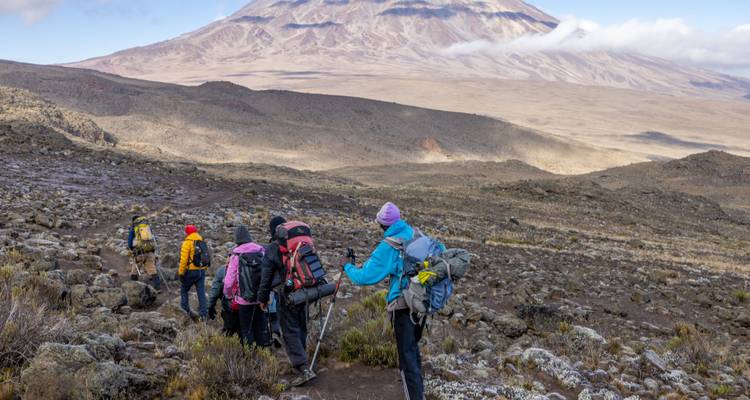 Group of climbers descending a barren volcanic slope with Mount Kilimanjaro looming ahead.