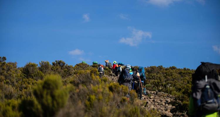 Hikers making their way up a rocky trail beneath a bright blue sky.