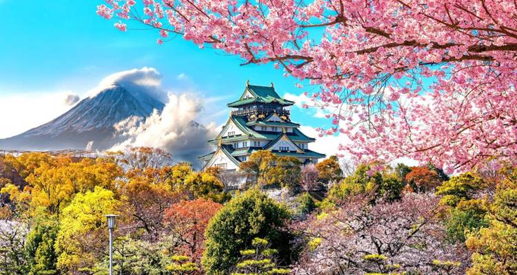 El Castillo de Osaka enmarcado por flores de cerezo en floración con el Monte Fuji nevado a lo lejos.