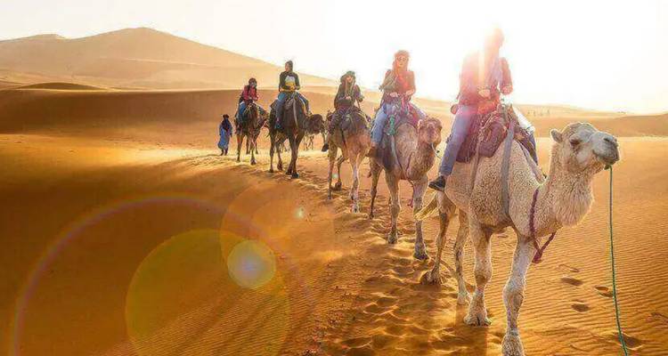 A camel caravan moves through sun-lit dunes with lens flares illuminating the golden sand.