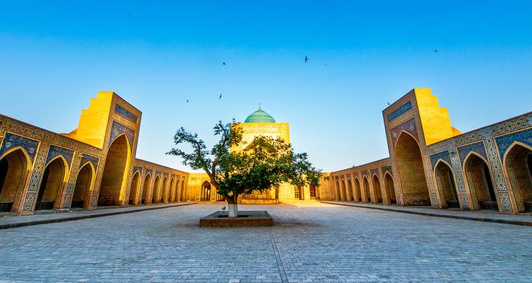 A serene madrasa courtyard with symmetrical arcades and a lone tree centered below a turquoise dome.