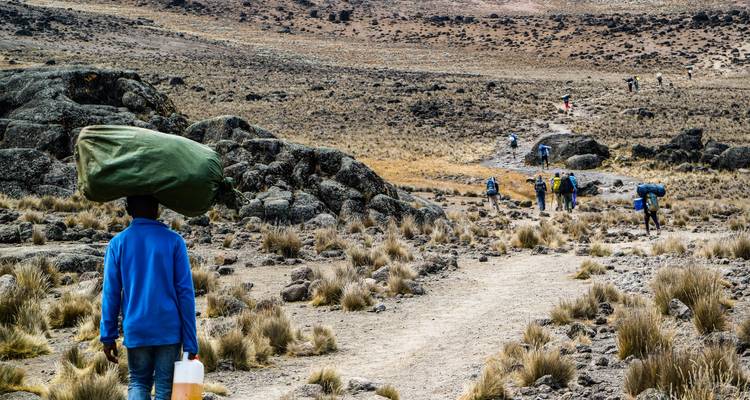 Landes d'altitude avec des porteurs transportant des charges lourdes le long d'un sentier poussiéreux sur le Kilimandjaro.