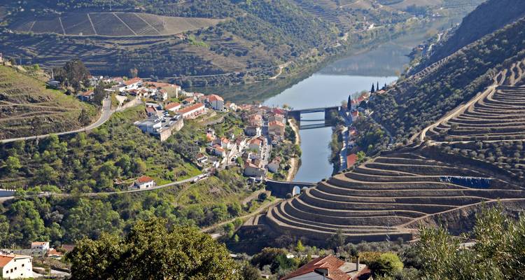 Terraced vineyards of the Douro Valley descending to a reflective river and small village below.