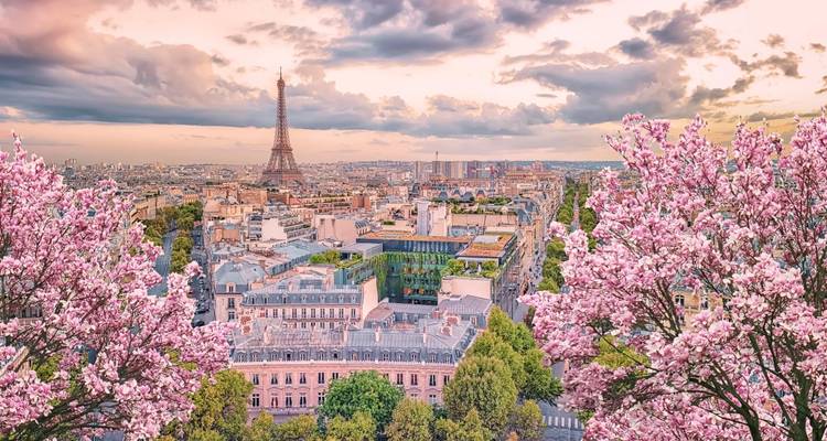 Springtime view of Paris framed by pink blossoms with the Eiffel Tower rising above the city